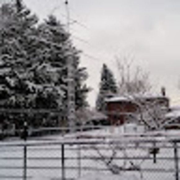 Meet your Posher, Mich - Picture 1 of 1